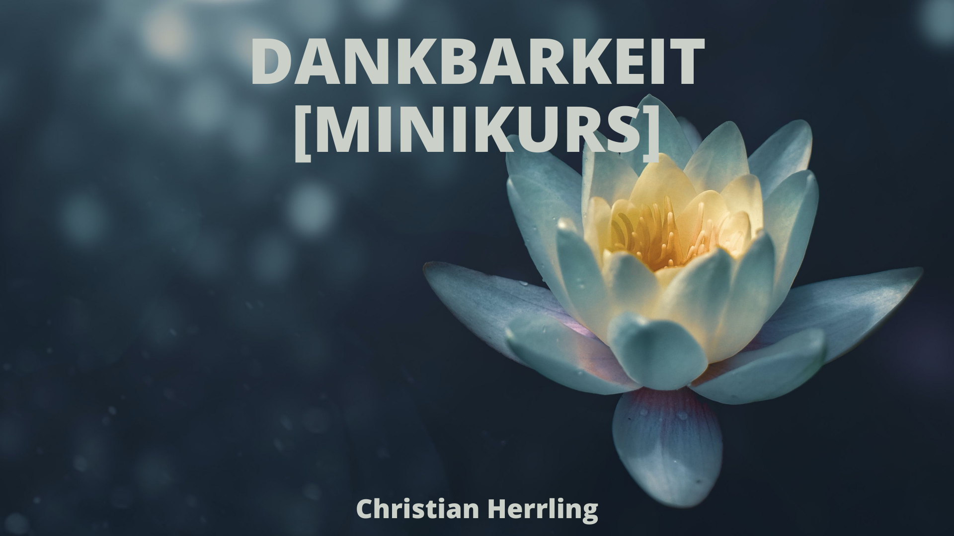 Dankbarkeit [Minikurs]